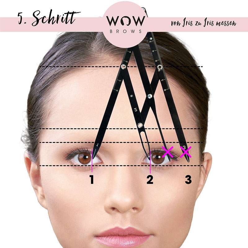 4-armiger Zirkel Phi Master