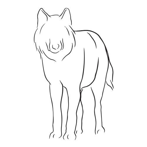 Tiermotive Vorlagen für Fineline Tattoo