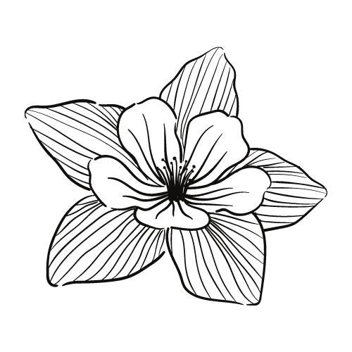 Blumen Vorlagen für Fineline Tattoo