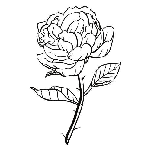 Blumen Vorlagen für Fineline Tattoo