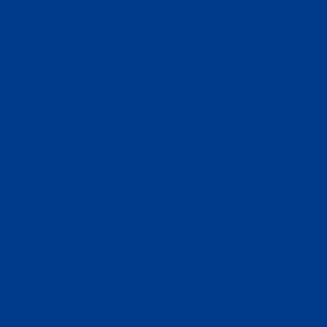 WFI Dark Blue 1