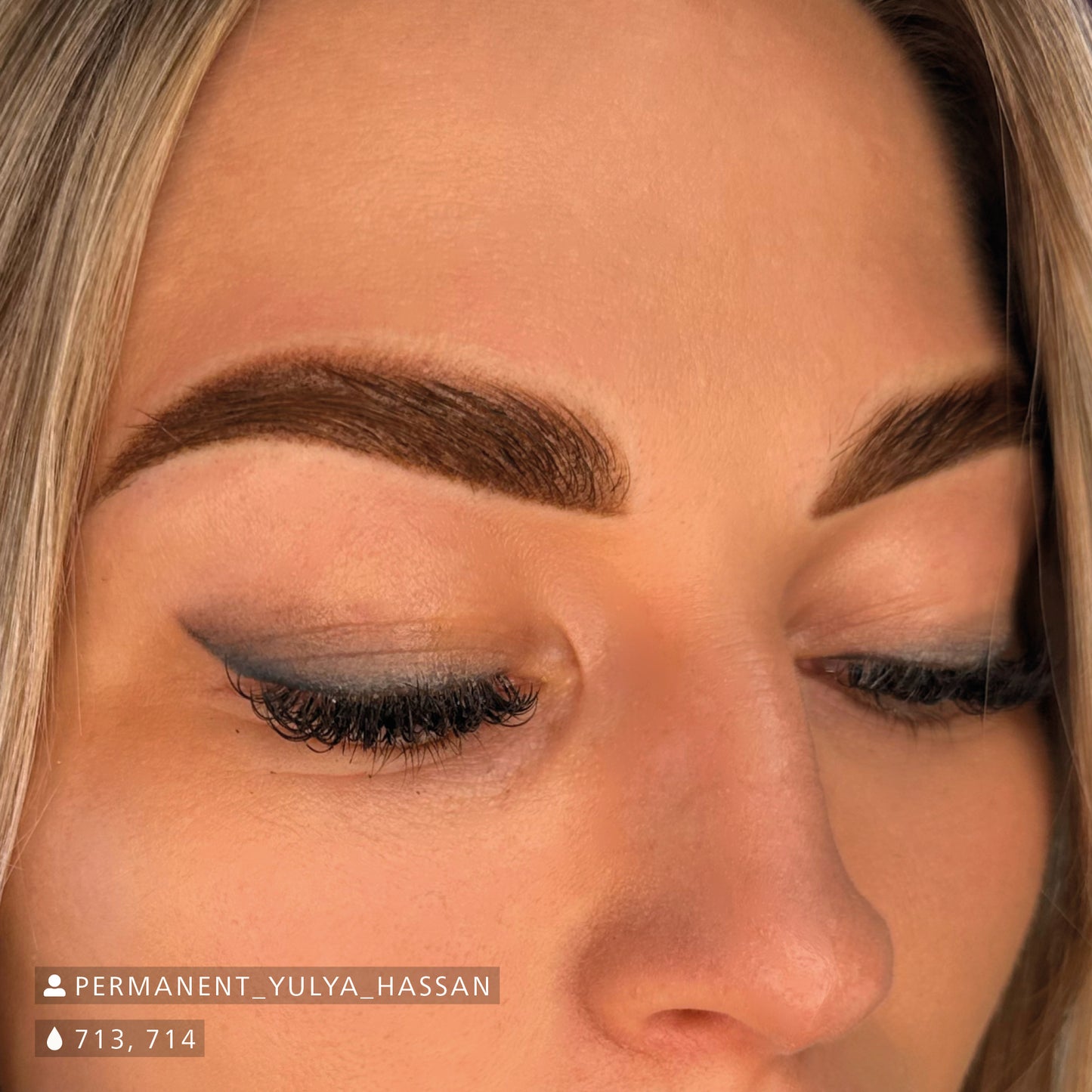 Swiss Color Blond Brown