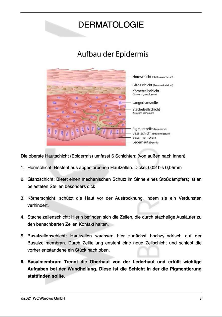 Kapitel Dermatologie aus dem Microblading Buch