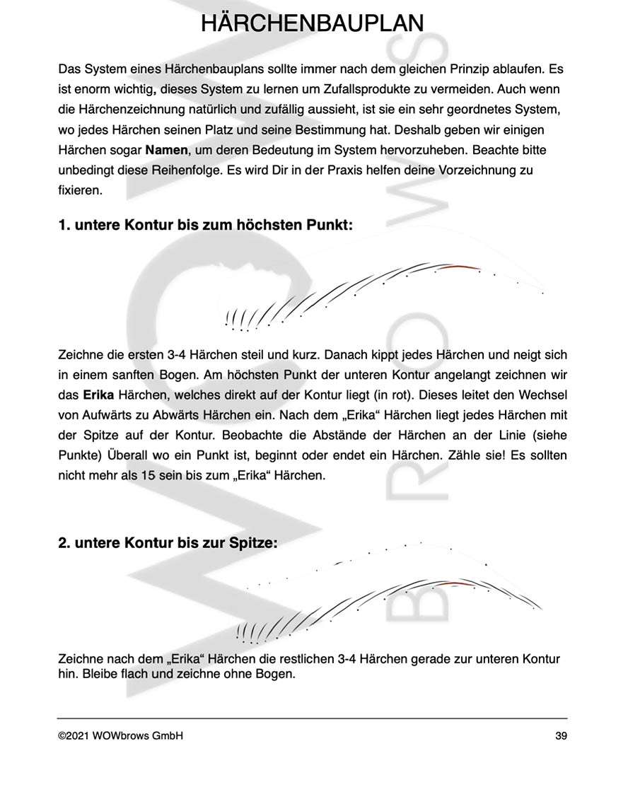 Microblading Trainingshandbuch