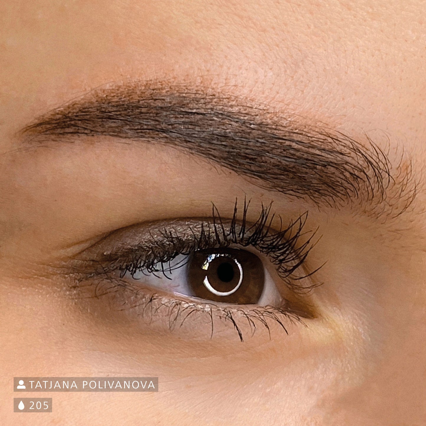 Swiss Color Dark Brown