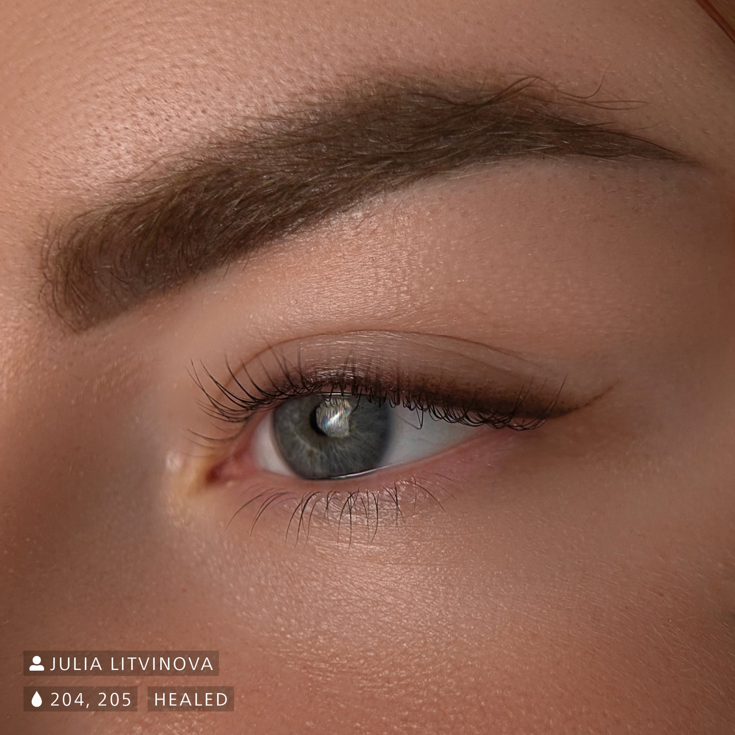 Swiss Color Dark Brown