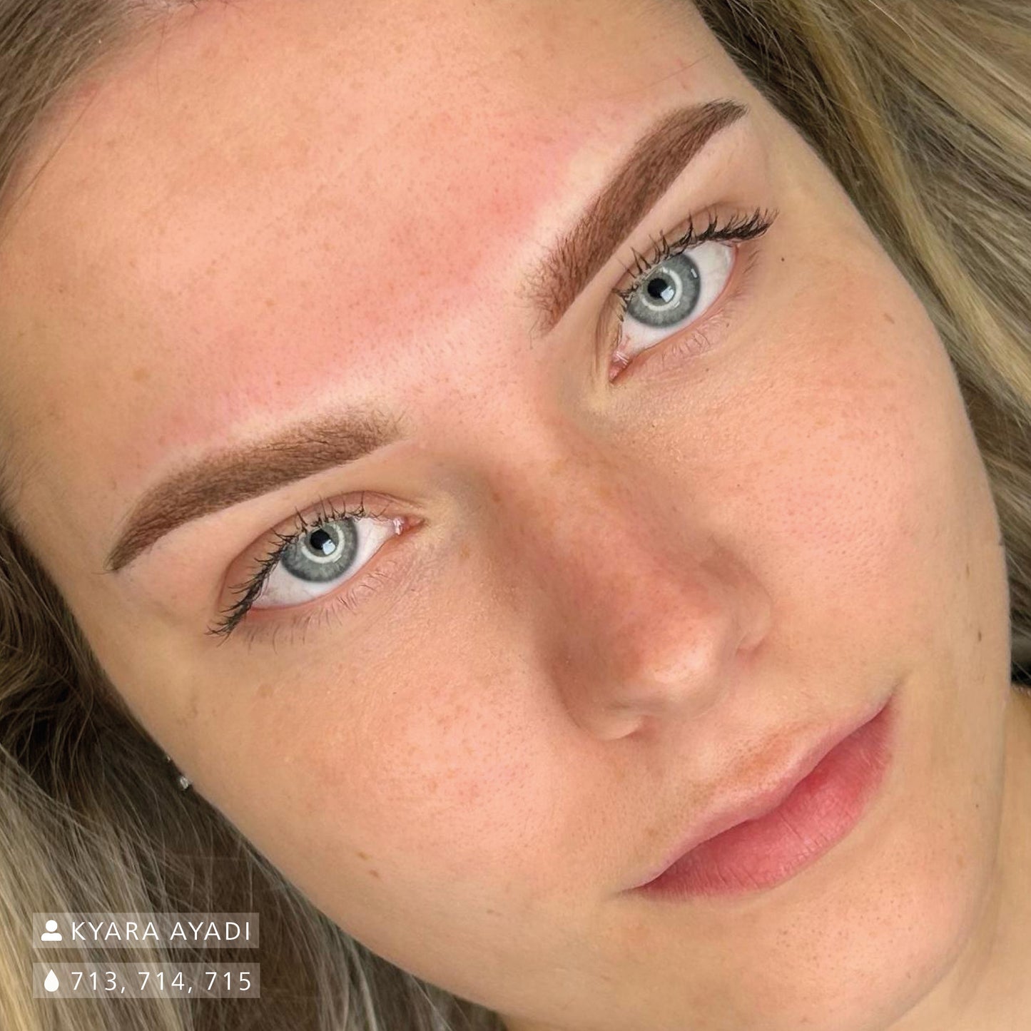 Swiss Color Blond Brown