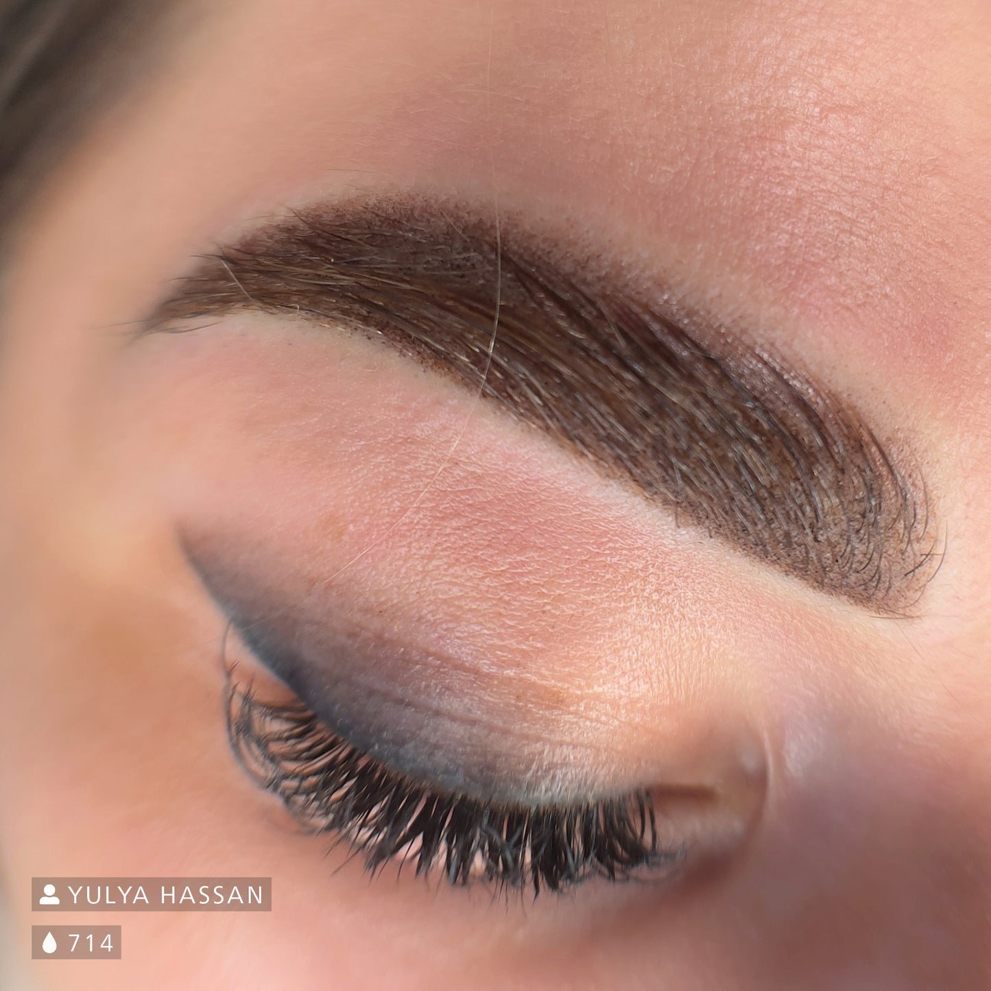 Swiss Color Medium Brown
