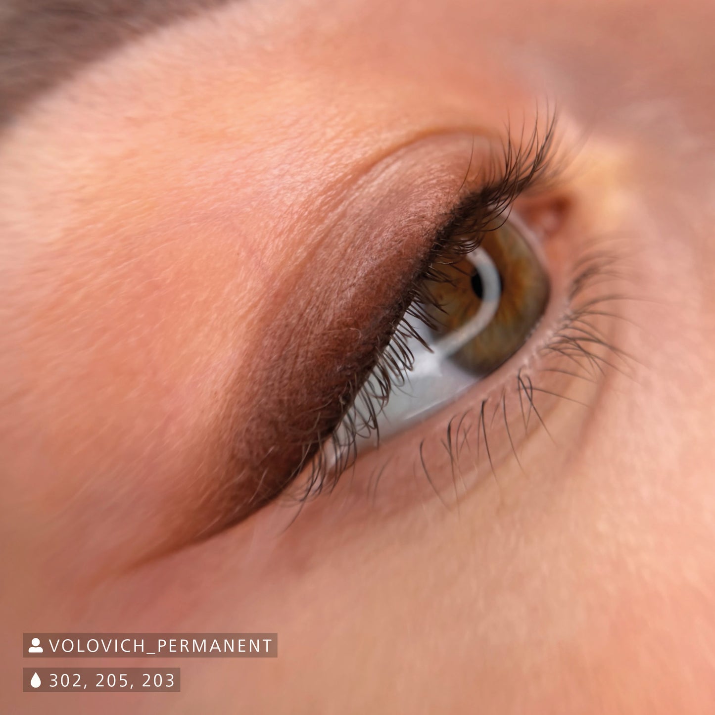 Swiss Color Dark Brown