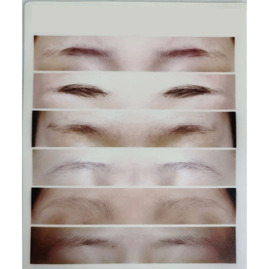Real Brows Übungshaut